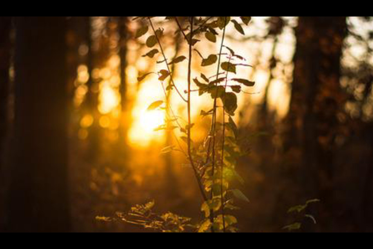 Het Licht van Uw LiefdeRk Sint Jan de Doper